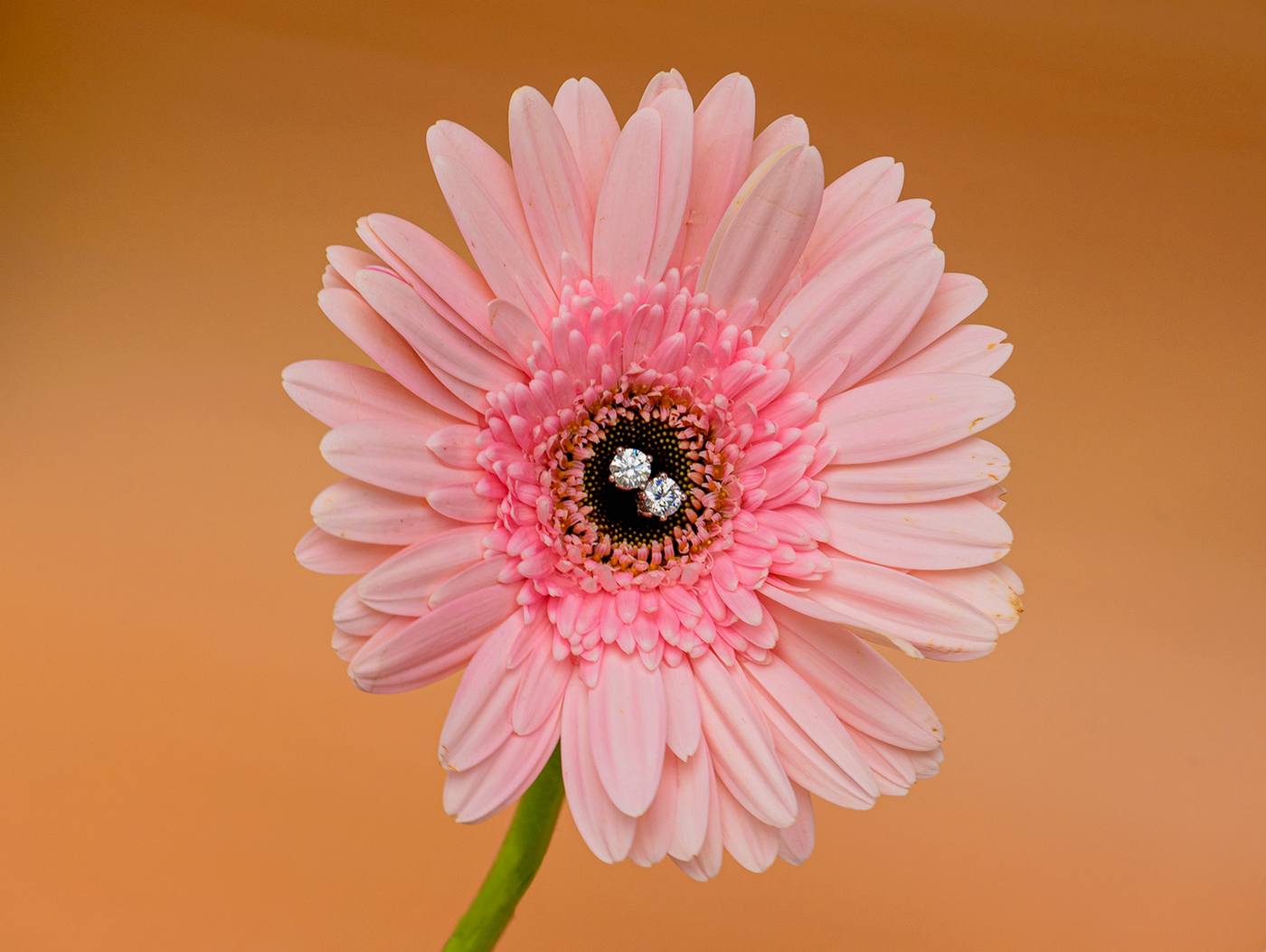For Her